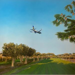 In volo