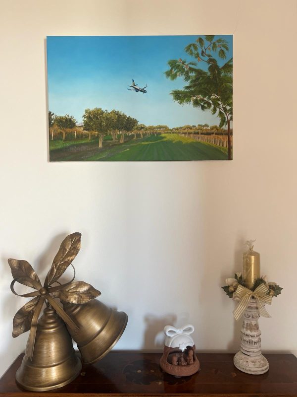 In volo - immagine 2
